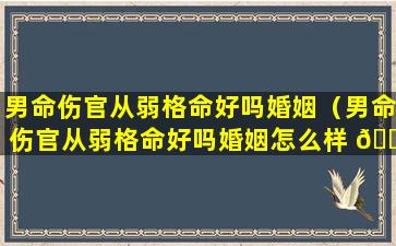 男命伤官从弱格命好吗婚姻（男命伤官从弱格命好吗婚姻怎么样 🌸 ）